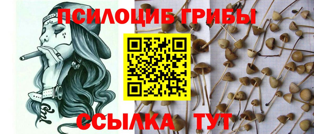 Галлюциногенные грибы ЛСД Саяногорск